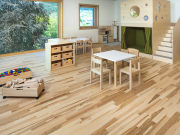 BAWART 2schicht Parkett L, Esche, geschliffen, lackiert