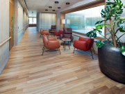 BAWART 2schicht Parkett, Rüster heim., Wellness, geölt