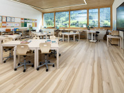 BAWART 3schicht Trio Kult Dielen, Esche rift/halbrift mit Kern, Wellness, naturale geölt