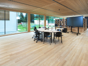 BAWART Massiv Kult Dielen, Esche rift/halbrift mit Kern, Wellness, roh