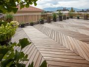 BAWART Terrassendielen FG45°, Ipe/Lapacho, gehobelt, roh